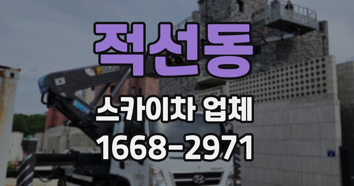 적선동 스카이차 업체