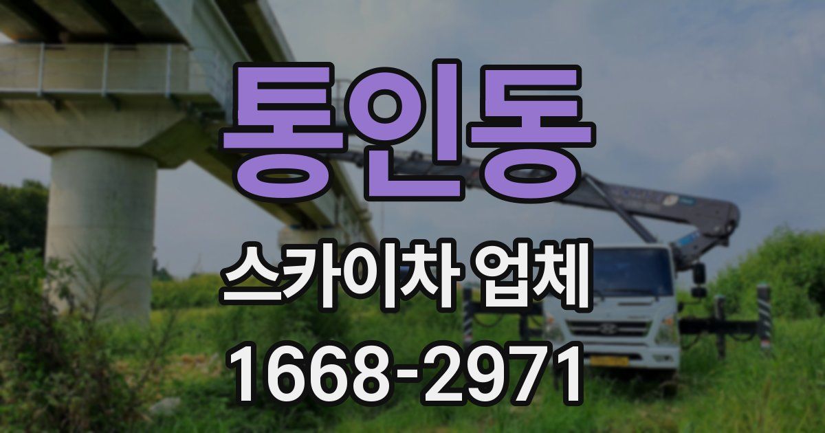통인동 스카이차 업체
