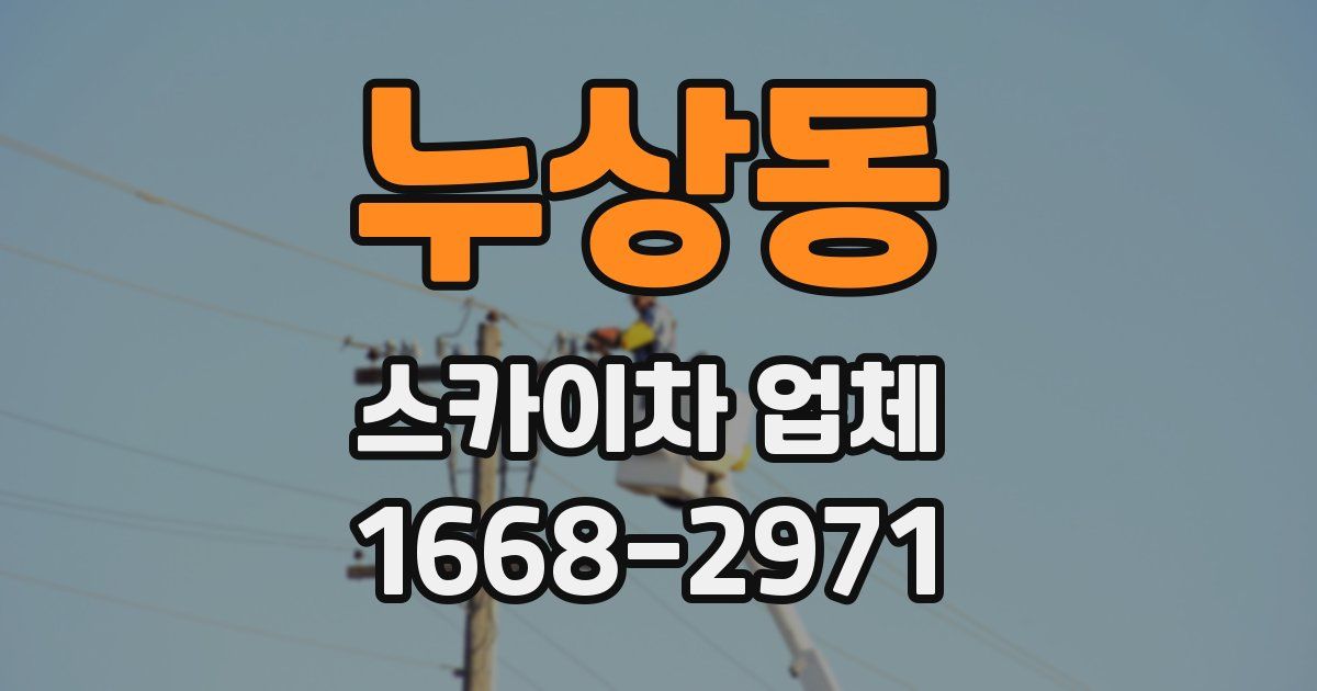 누상동 스카이차 업체