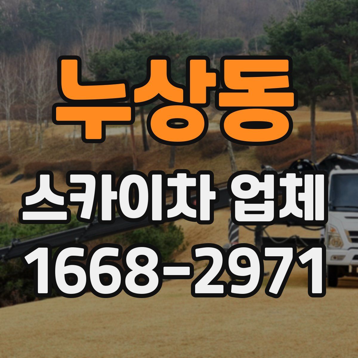 누상동 스카이차 업체