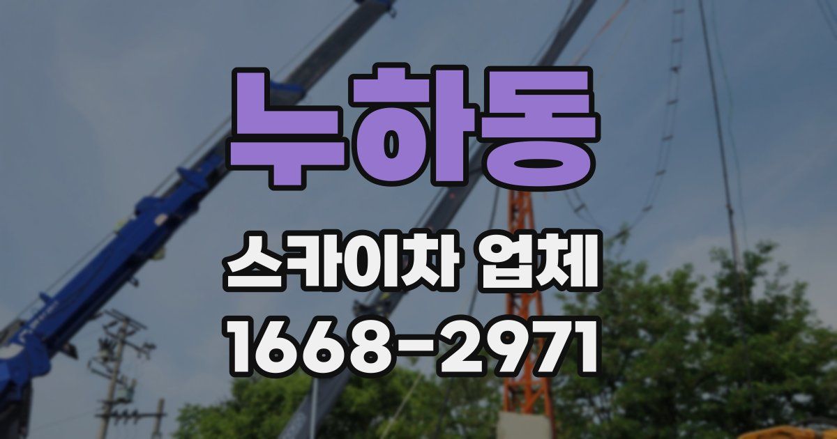 누하동 스카이차 업체
