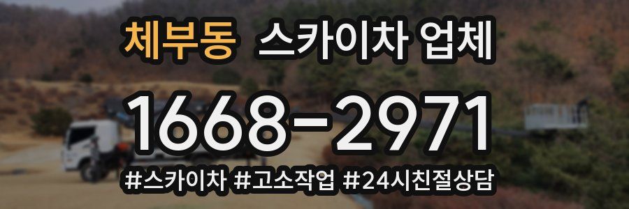 체부동 스카이차 업체
