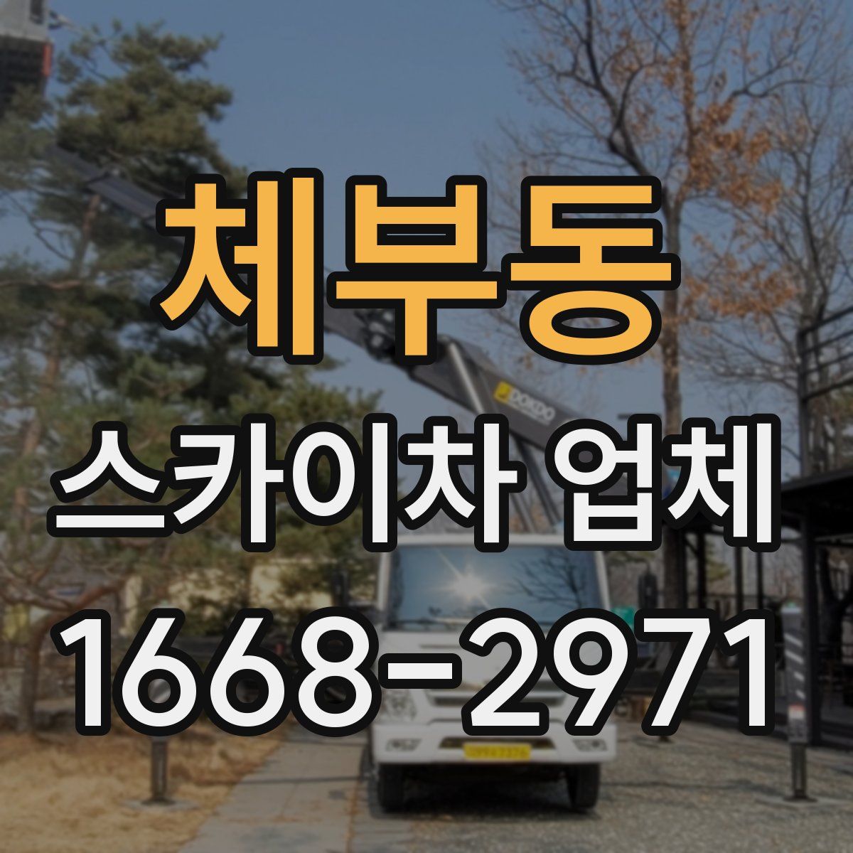 체부동 스카이차 업체
