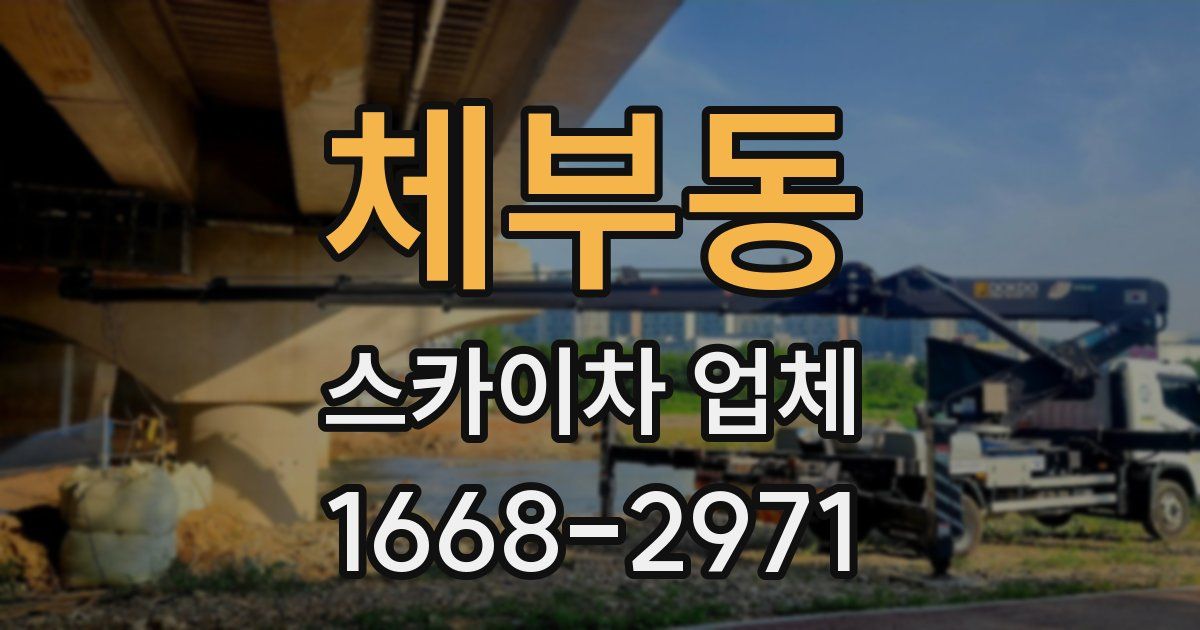 체부동 스카이차 업체