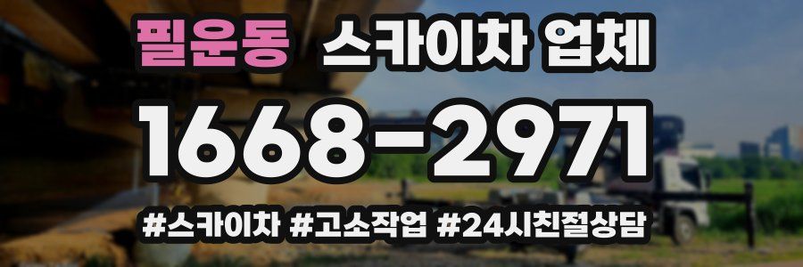 필운동 스카이차 업체