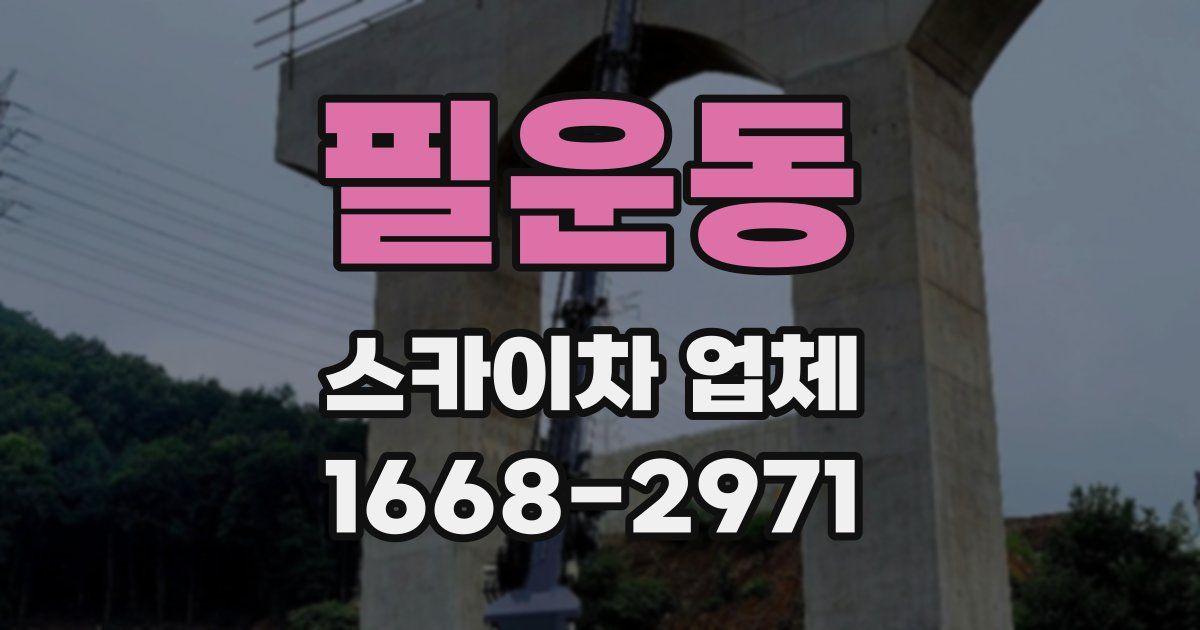 필운동 스카이차 업체