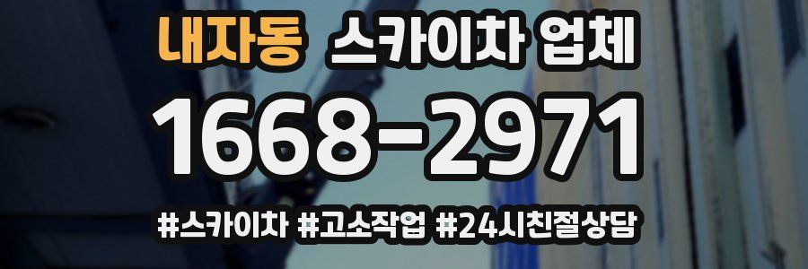 내자동 스카이차 업체