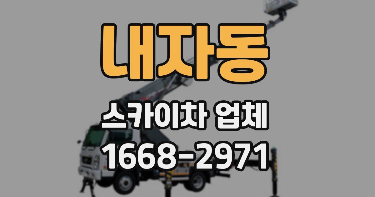 내자동 스카이차 업체