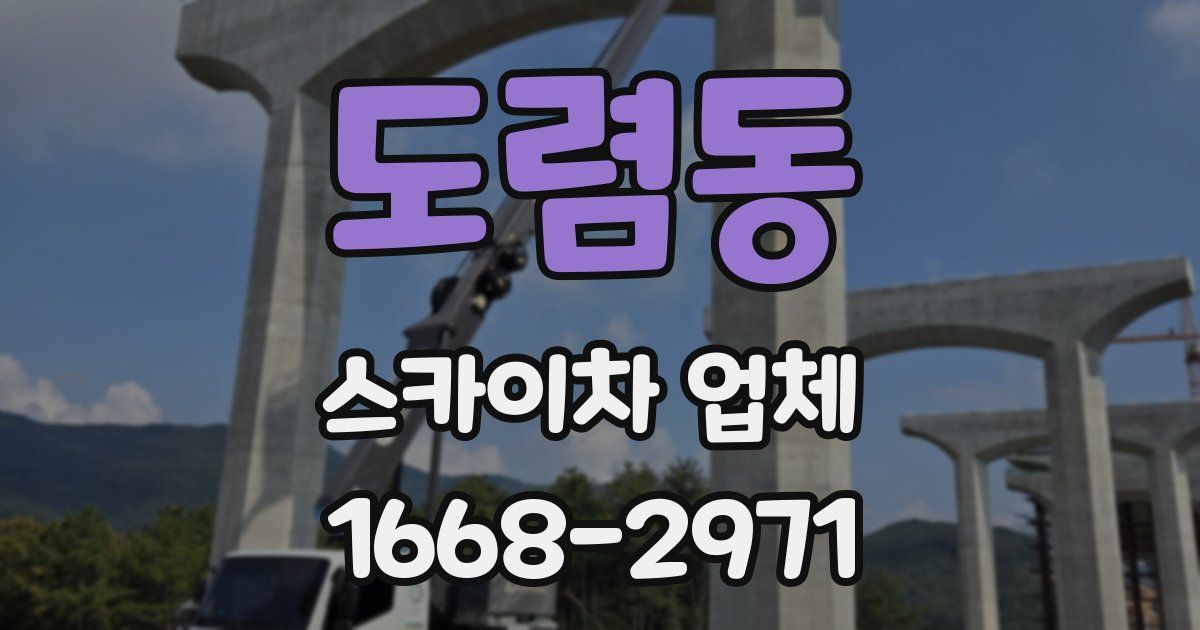 도렴동 스카이차 업체