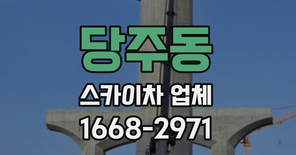 당주동 스카이차 업체