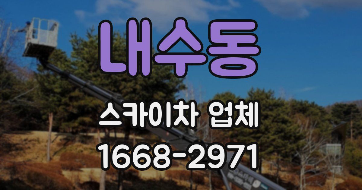 내수동 스카이차 업체