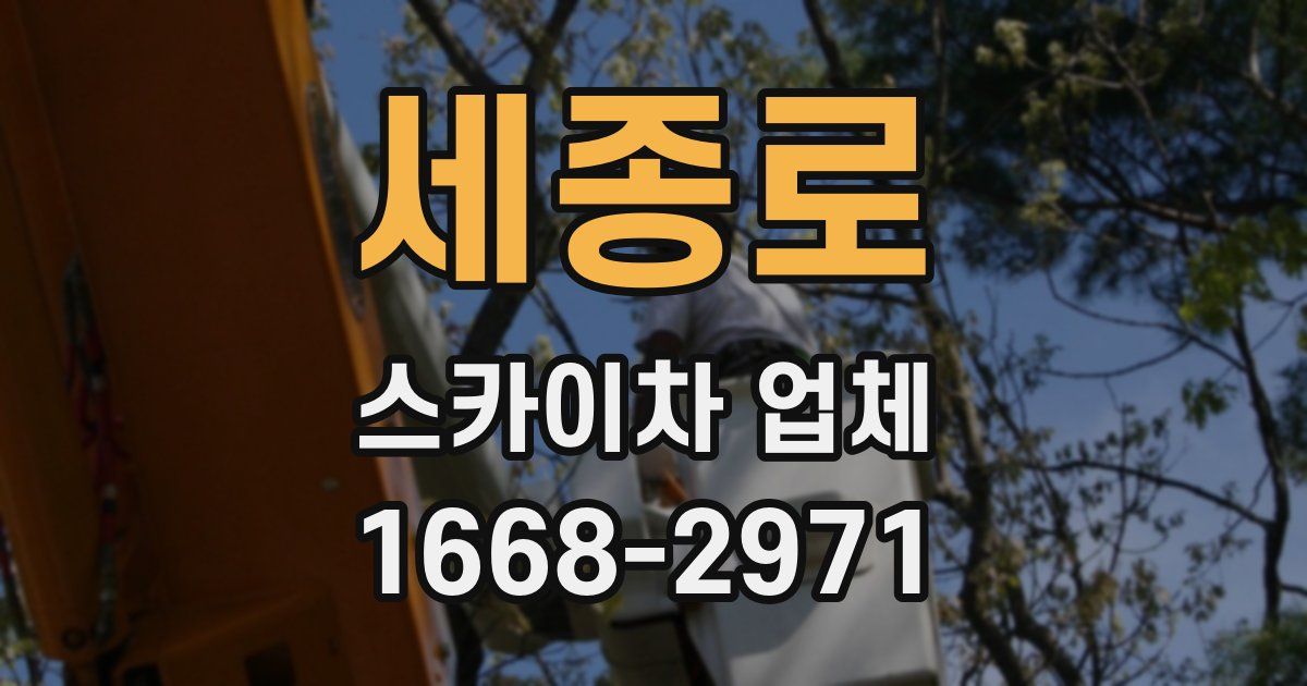 세종로 스카이차 업체