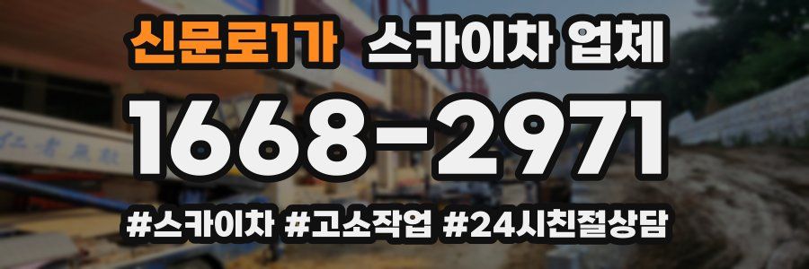 신문로1가 스카이차 업체