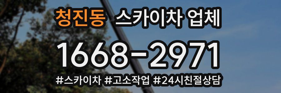 청진동 스카이차 업체