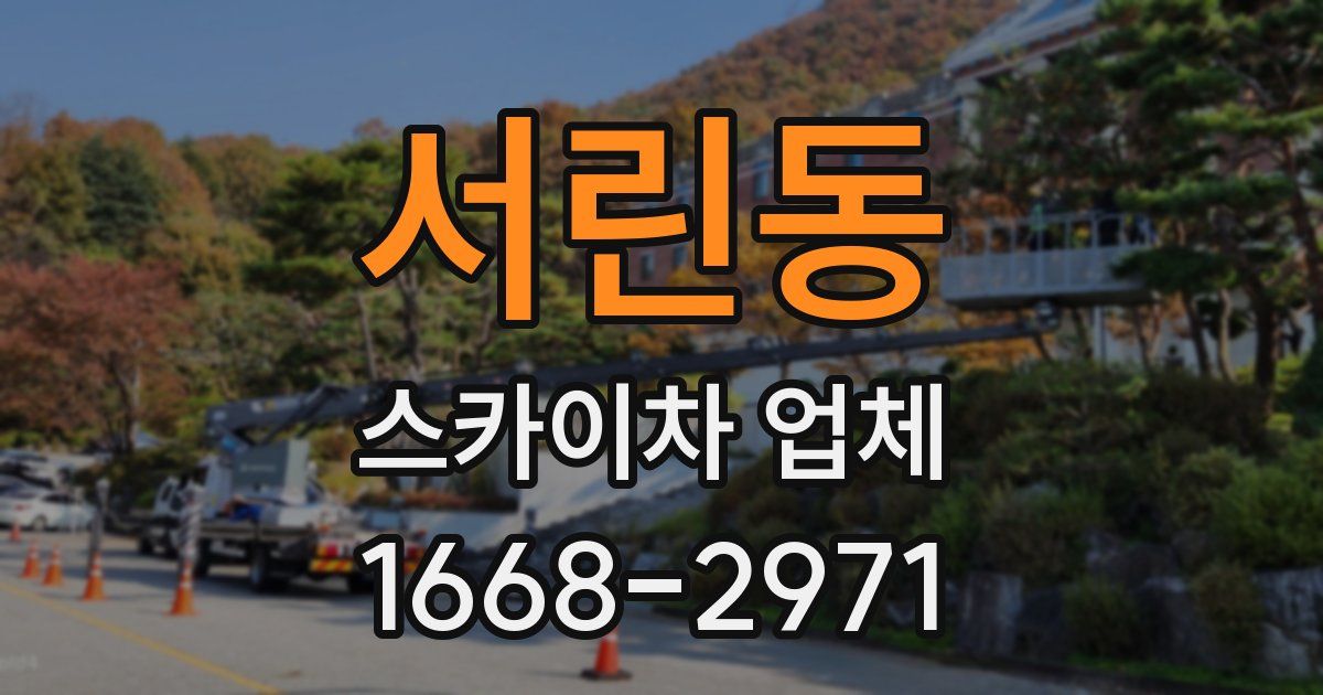 서린동 스카이차 업체