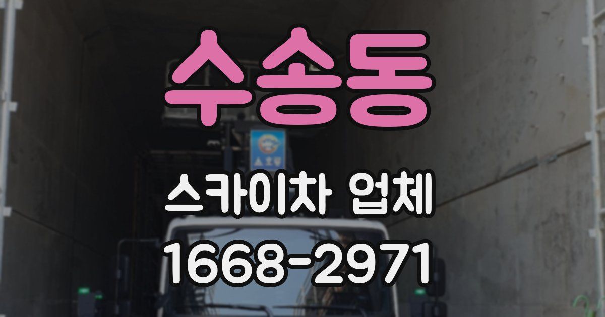 수송동 스카이차 업체
