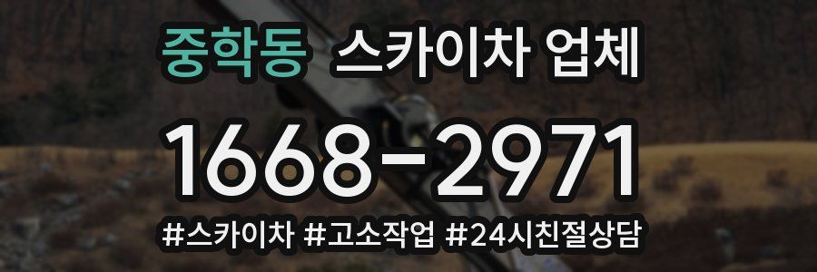 중학동 스카이차 업체