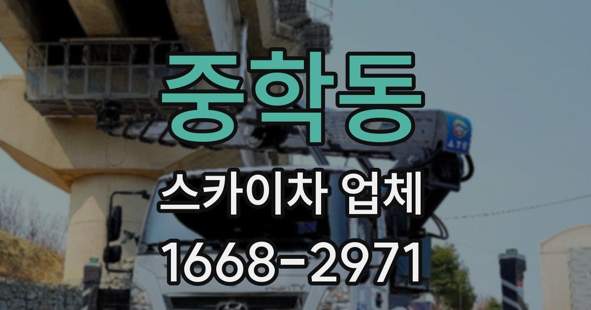 중학동 스카이차 업체