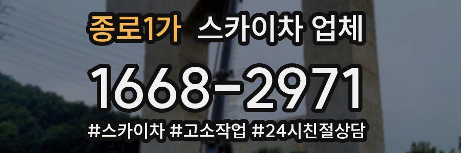 종로1가 스카이차 업체