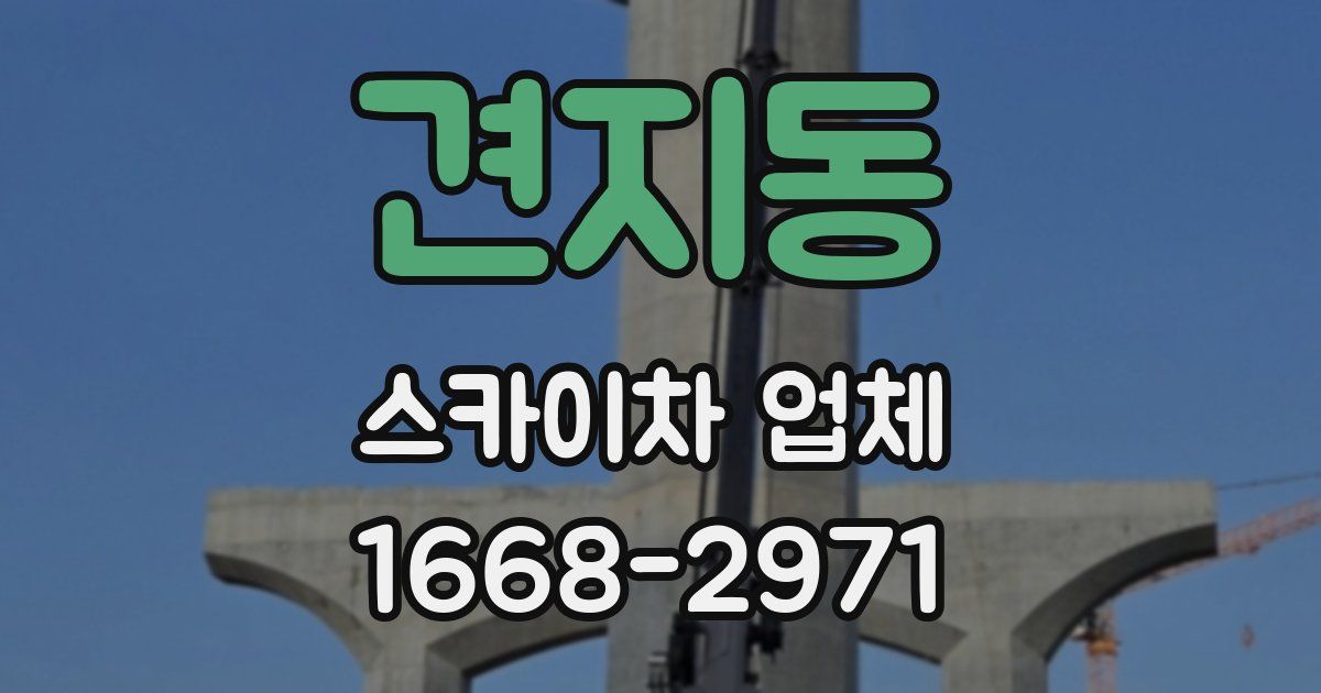 견지동 스카이차 업체