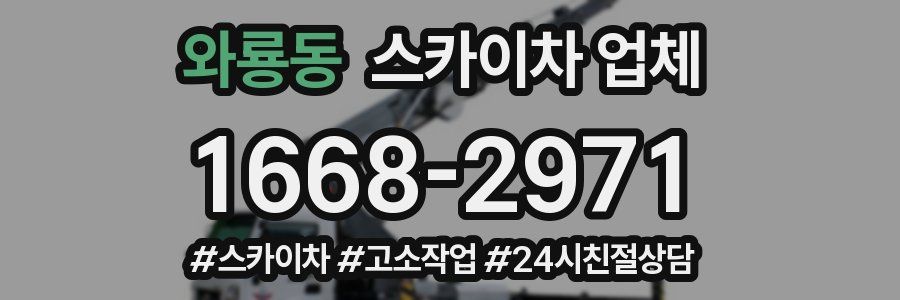 와룡동 스카이차 업체