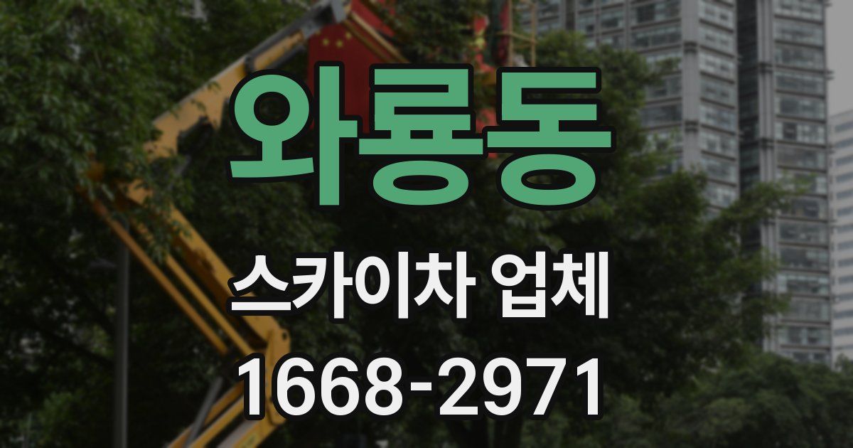 와룡동 스카이차 업체