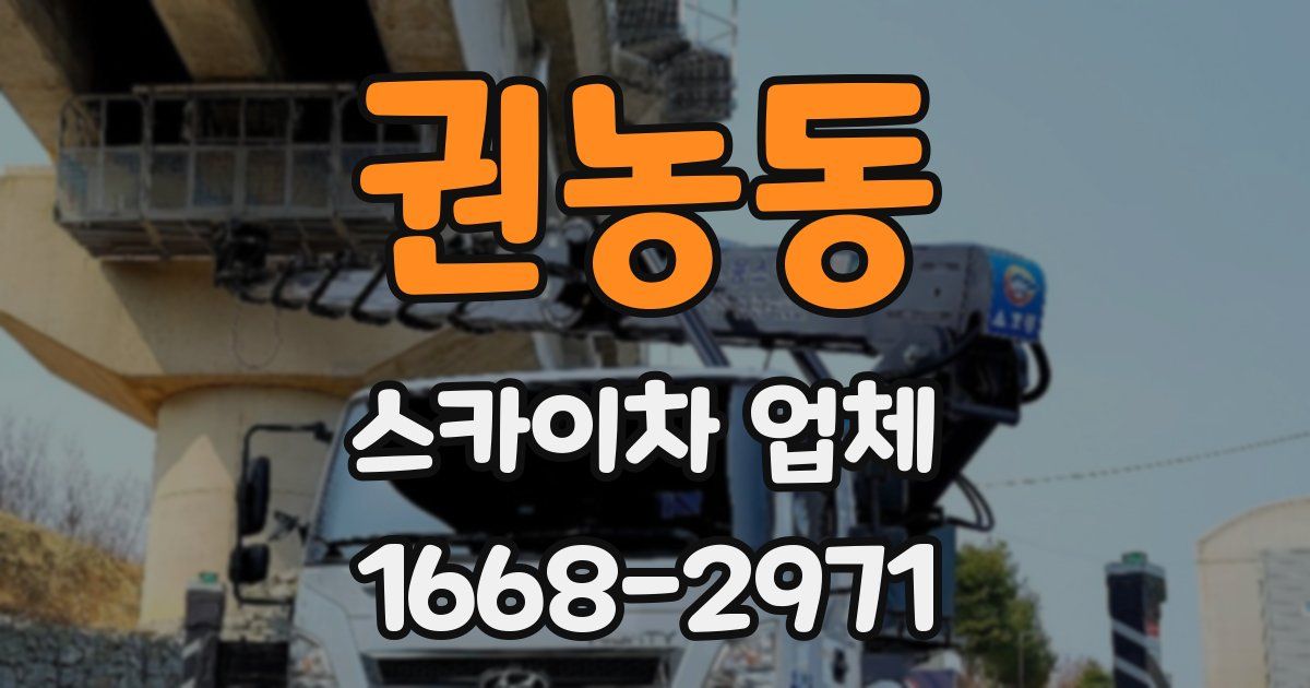 권농동 스카이차 업체