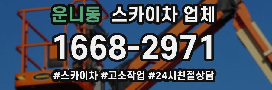 운니동 스카이차 업체