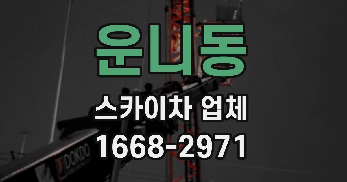 운니동 스카이차 업체