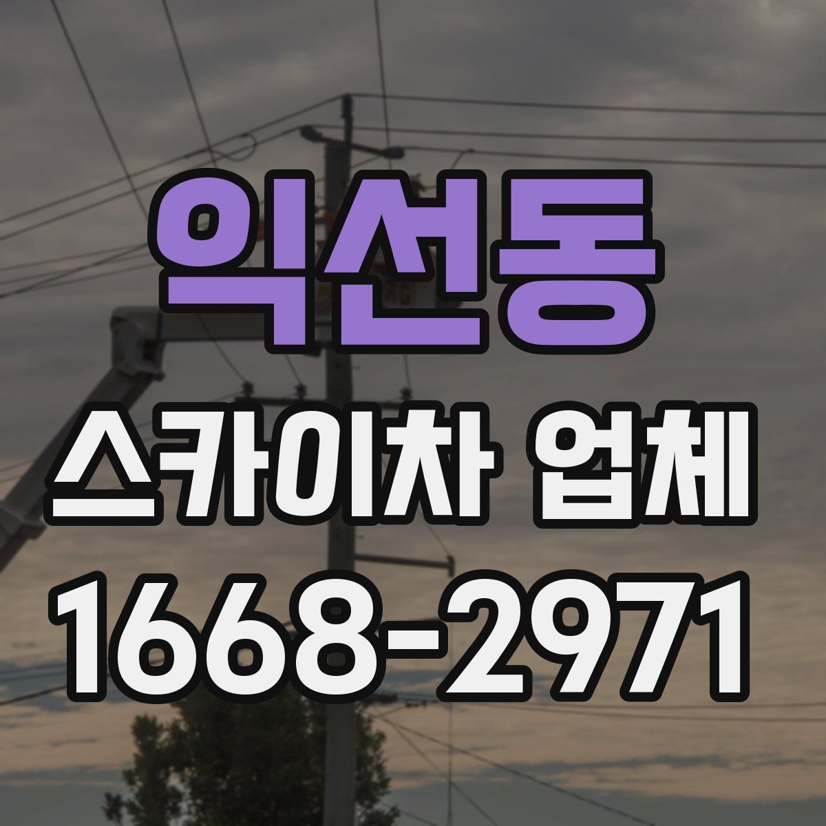 익선동 스카이차 업체