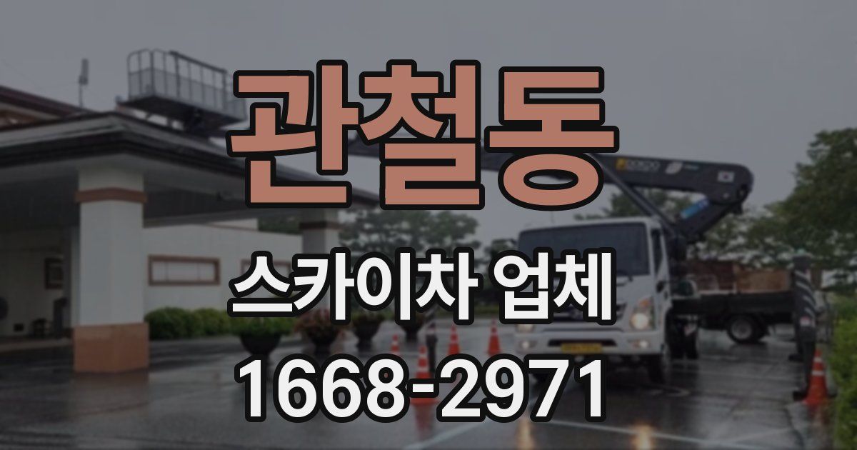 관철동 스카이차 업체