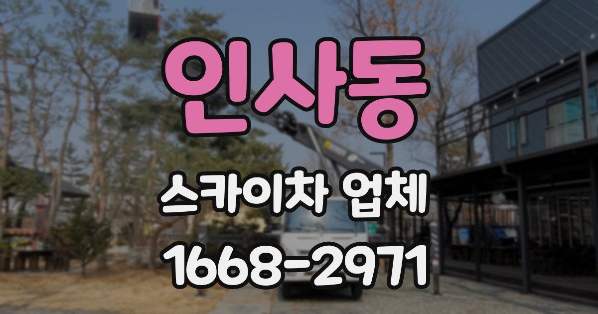 인사동 스카이차 업체