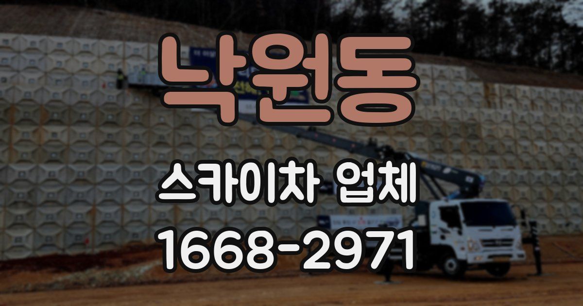 낙원동 스카이차 업체