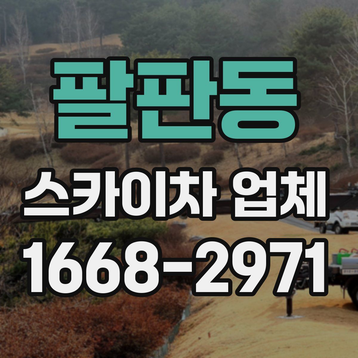 팔판동 스카이차 업체