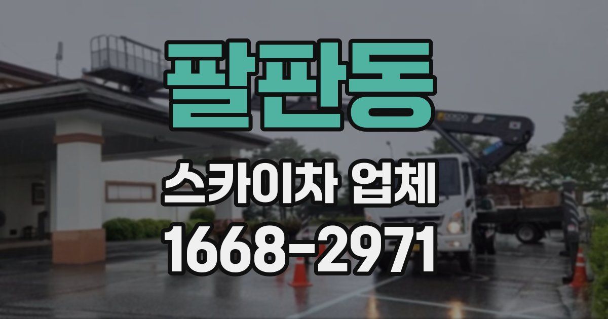 팔판동 스카이차 업체