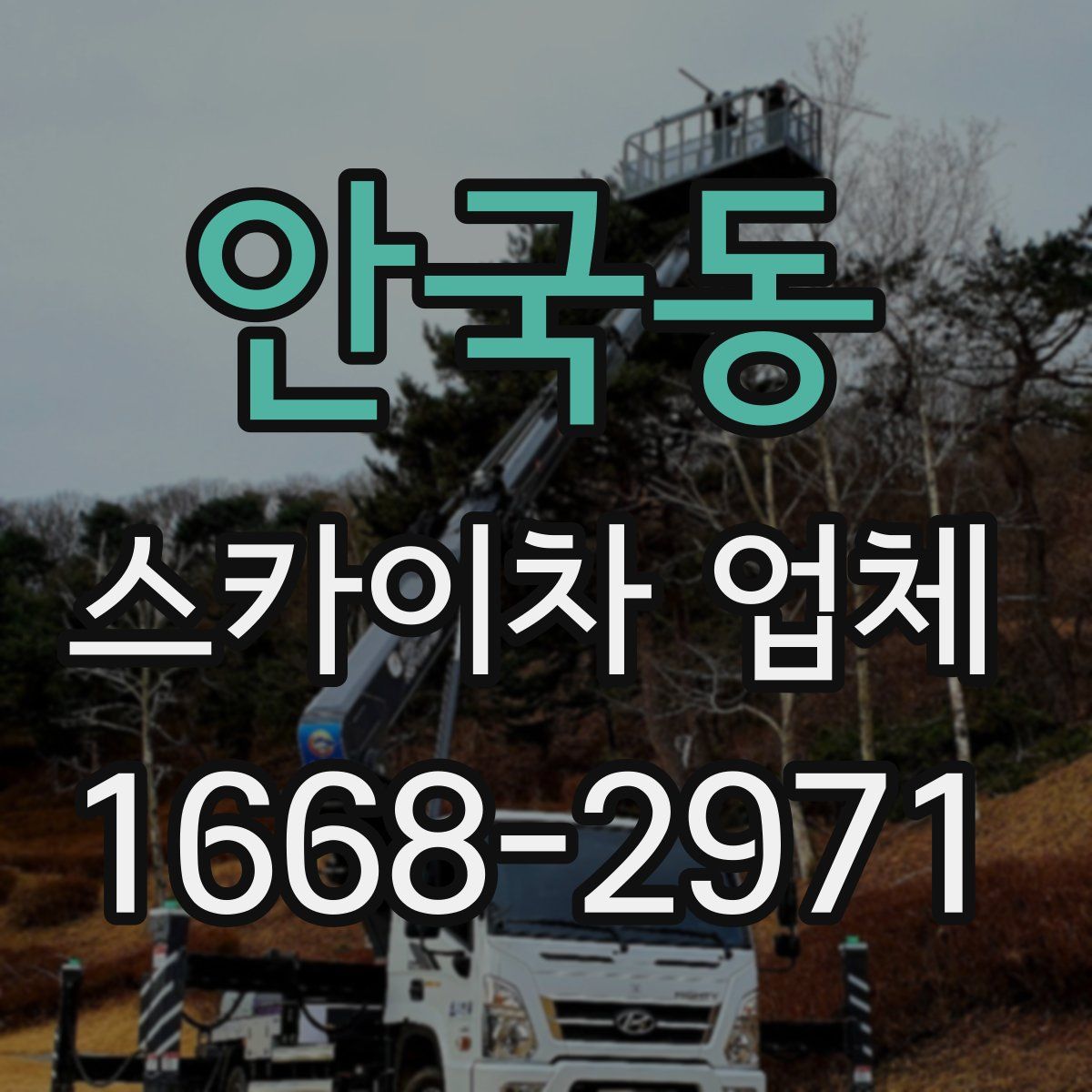 안국동 스카이차 업체