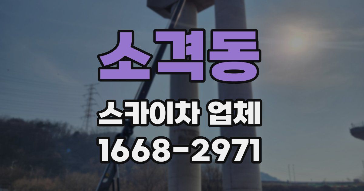 소격동 스카이차 업체