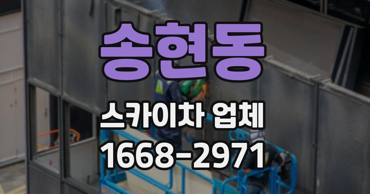 송현동 스카이차 업체