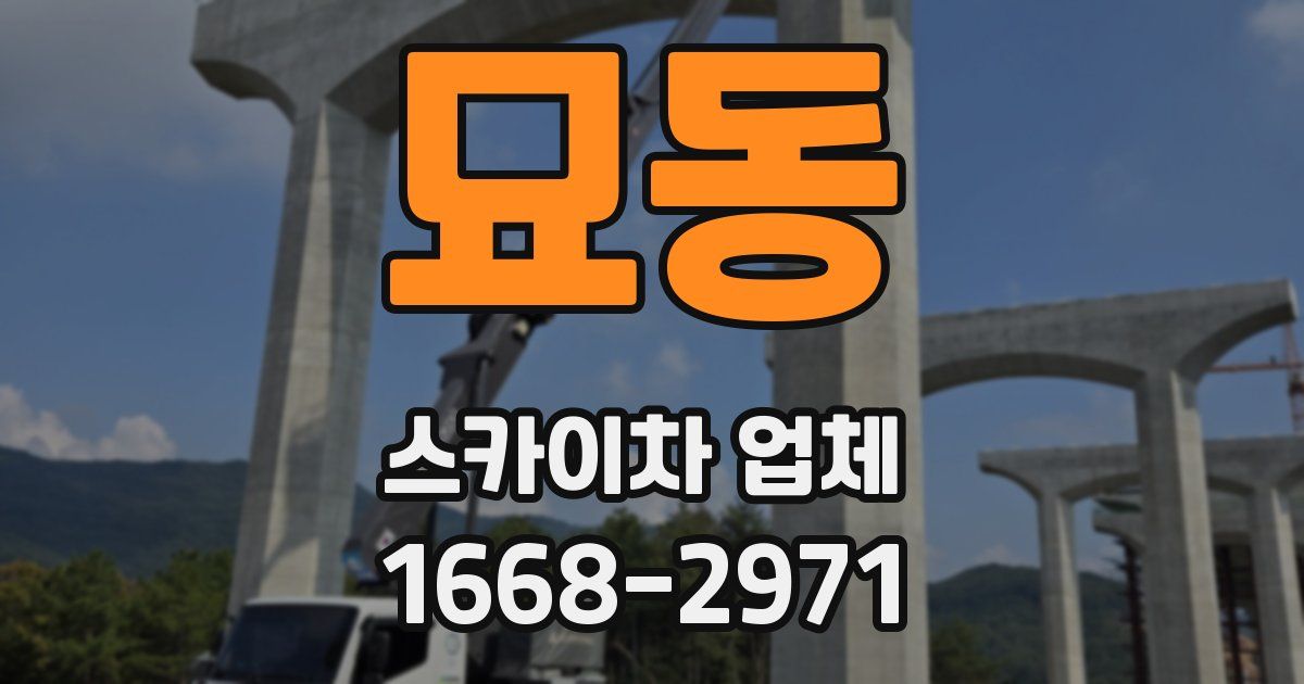묘동 스카이차 업체
