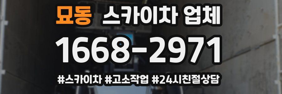 묘동 스카이차 업체
