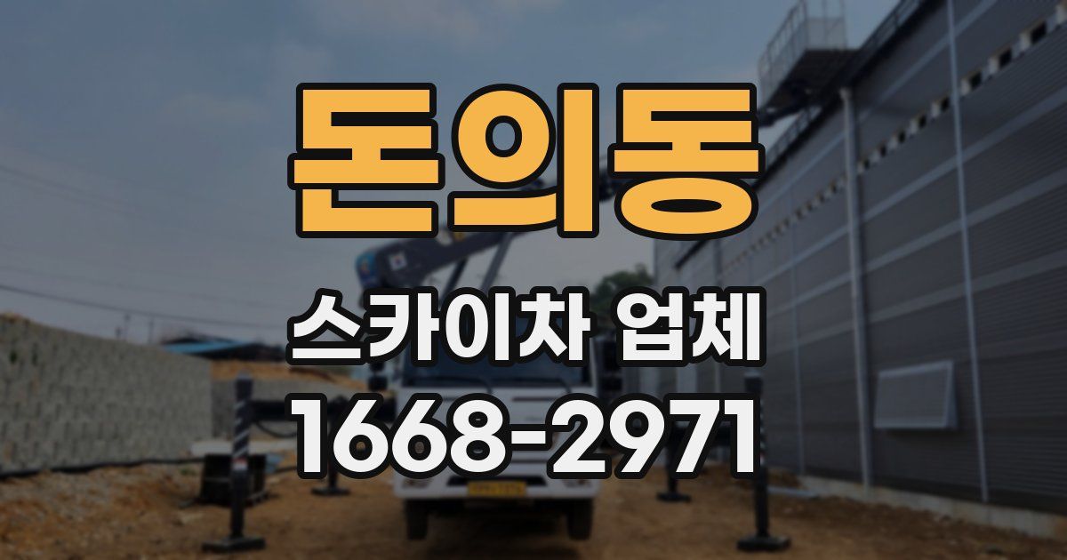 돈의동 스카이차 업체