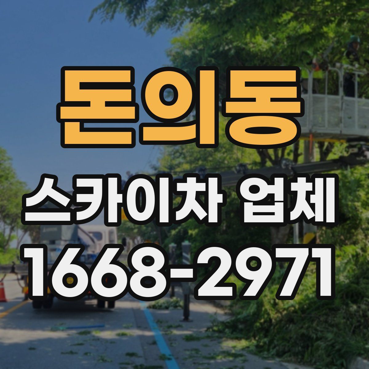 돈의동 스카이차 업체