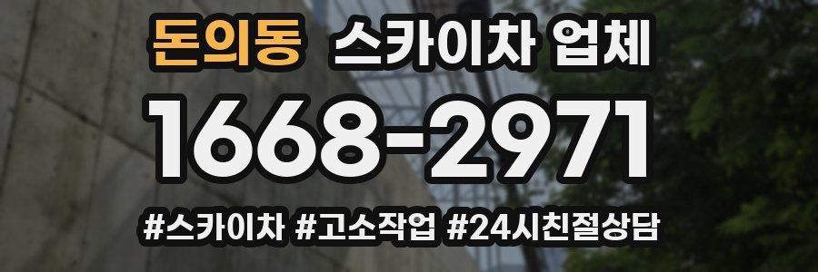 돈의동 스카이차 업체
