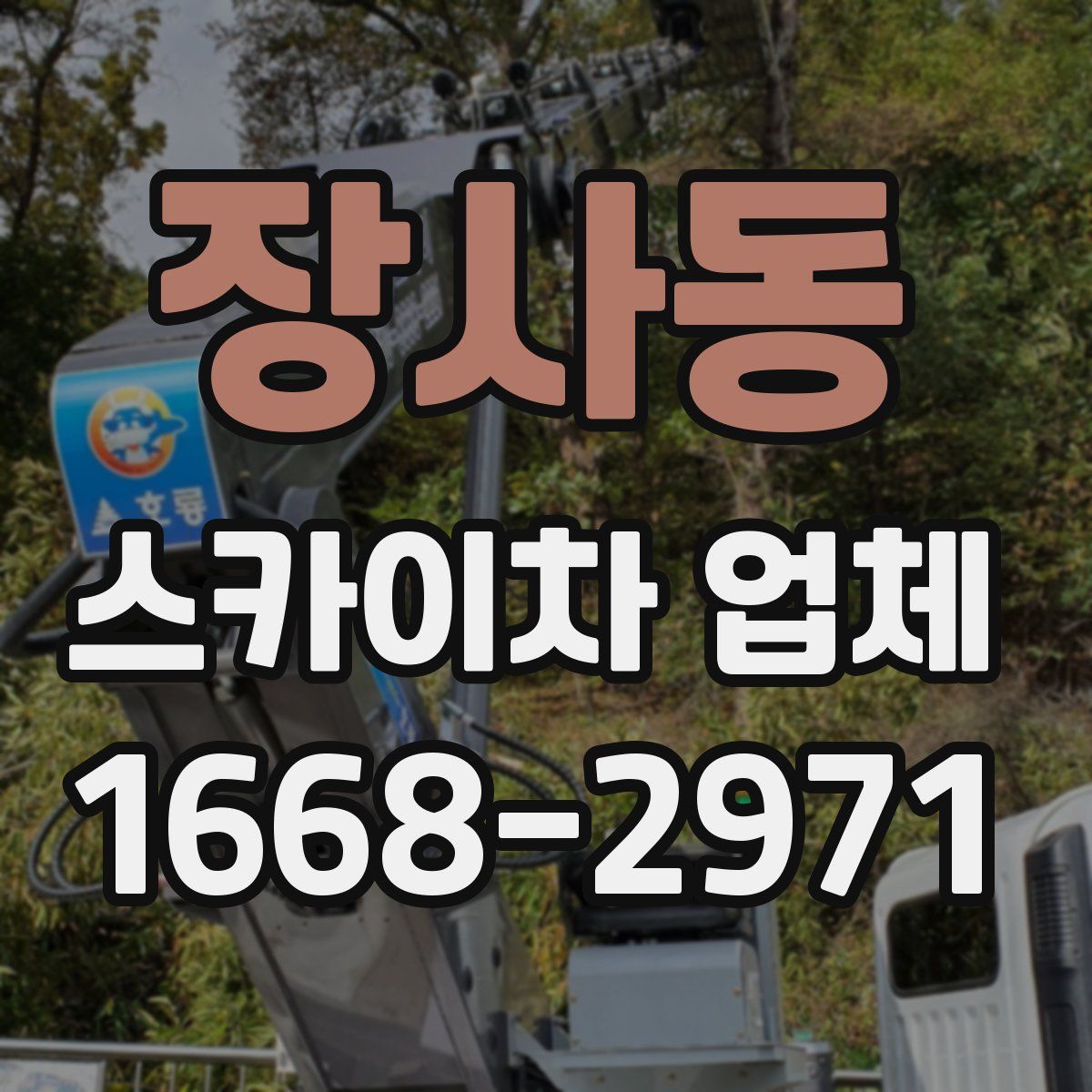장사동 스카이차 업체