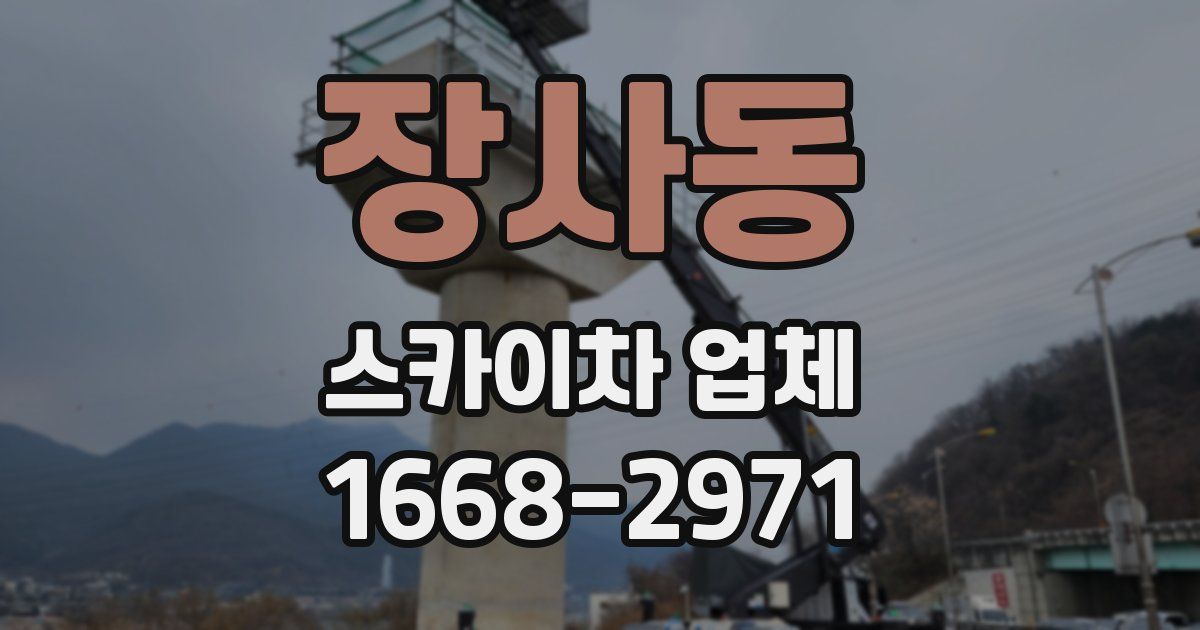 장사동 스카이차 업체