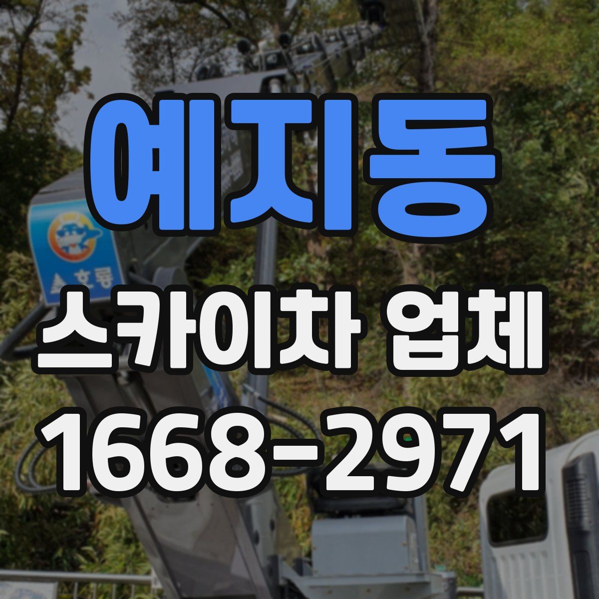 예지동 스카이차 업체