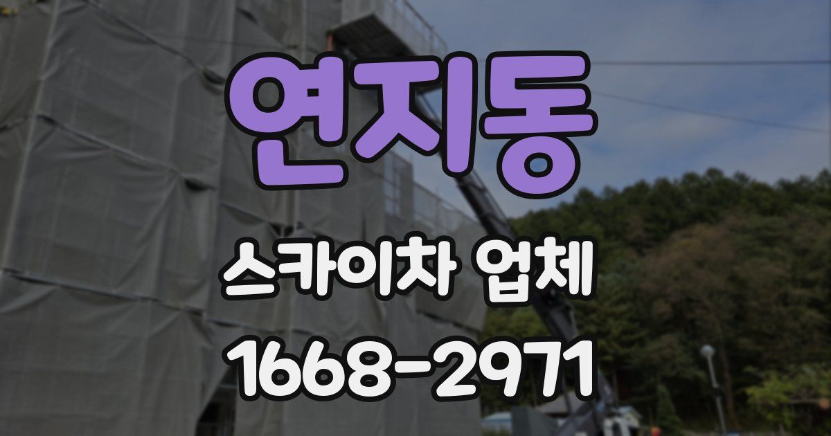 연지동 스카이차 업체