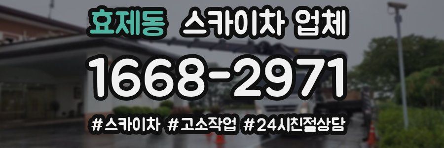 효제동 스카이차 업체