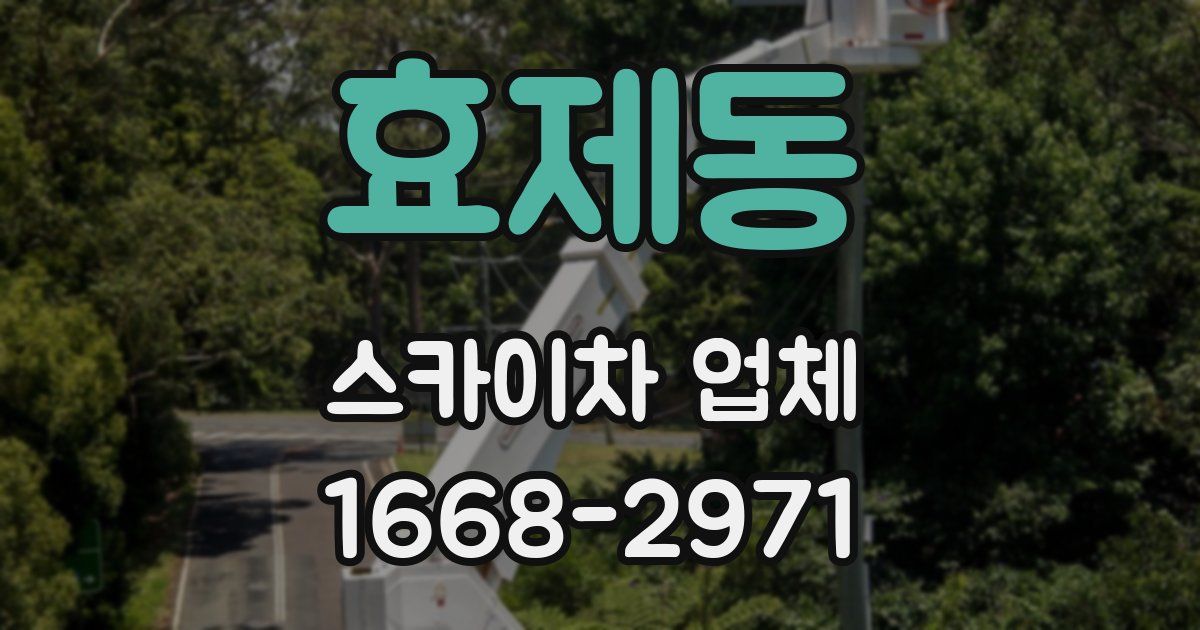 효제동 스카이차 업체