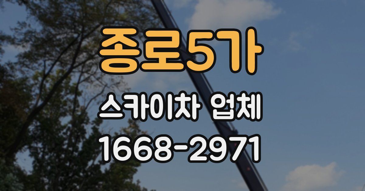 종로5가 스카이차 업체